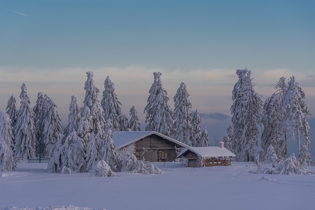 horská dřevěnice